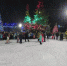 ЧУДЕСА В НОВОГОДНЮЮ НОЧЬ - Городской дворец культуры