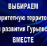 Выбираем приоритетную территорию для развития Гурьевска вместе! - Гурьевский район