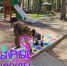"Культурные каникулы" - Городской дворец культуры
